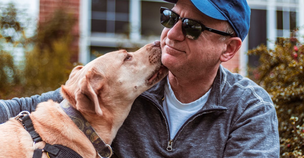 découvrez notre sélection de colliers pour chiens, alliant confort, sécurité et style. offrez à votre compagnon à quatre pattes un accessoire durable et tendance qui met en valeur sa personnalité. parcourez nos modèles variés pour trouver celui qui convient parfaitement à votre chien.