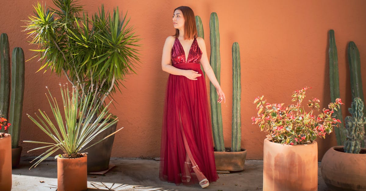 découvrez notre collection élégante de robes en terracotta, parfaites pour toutes les occasions. alliez confort et style avec ces vêtements tendance qui mettent en valeur votre silhouette et ajoutent une touche de couleur à votre garde-robe.