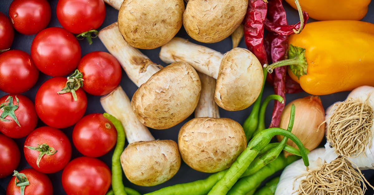 découvrez des conseils, recettes et astuces pour réussir votre cuisine au quotidien. profitez d'idées savoureuses, adaptées à tous les niveaux, pour régaler toute la famille.