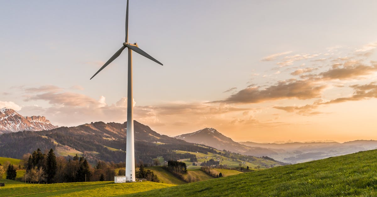 découvrez les principes et les pratiques de la durabilité pour protéger l'environnement, favoriser une économie responsable et améliorer la qualité de vie des générations actuelles et futures.