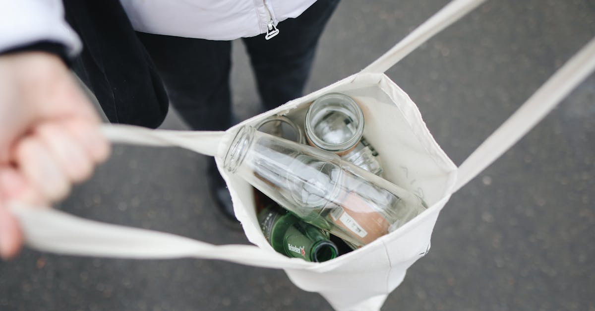 découvrez comment intégrer la durabilité à votre quotidien grâce à des conseils pratiques, actualités et innovations pour un avenir plus respectueux de l’environnement.