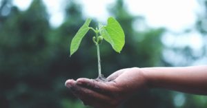 découvrez comment adopter des pratiques durables pour préserver l'environnement, réduire votre impact écologique et contribuer à un avenir plus responsable grâce à nos conseils et ressources sur la sustainability.
