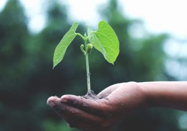 découvrez comment adopter des pratiques durables pour préserver l'environnement, réduire votre impact écologique et contribuer à un avenir plus responsable grâce à nos conseils et ressources sur la sustainability.