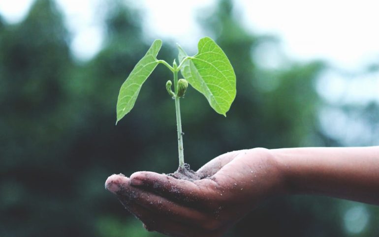découvrez comment adopter des pratiques durables pour préserver l'environnement, réduire votre impact écologique et contribuer à un avenir plus responsable grâce à nos conseils et ressources sur la sustainability.