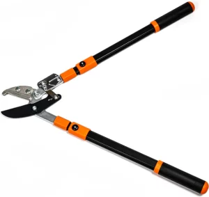 coupe branches à Nice