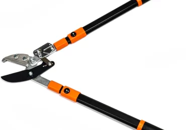 coupe branches à Nice