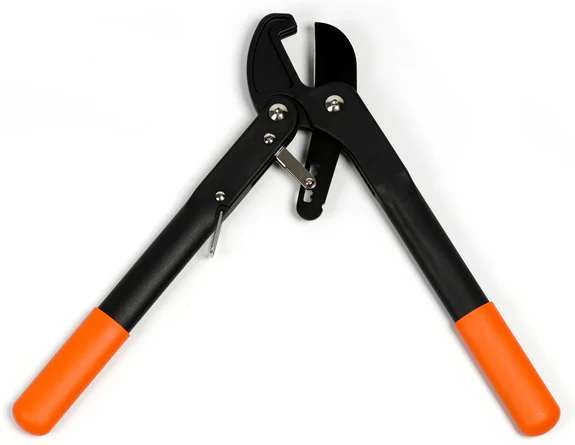 coupe branches à Nice