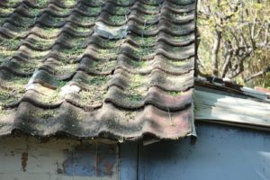 A bird sitting on top of a roof next to a building