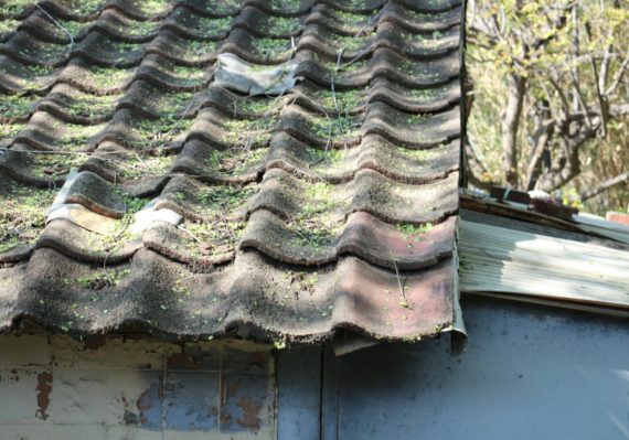 A bird sitting on top of a roof next to a building