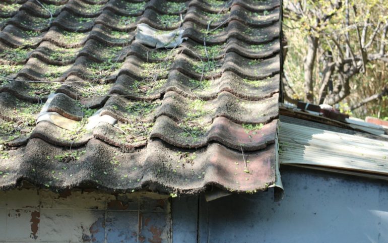 A bird sitting on top of a roof next to a building